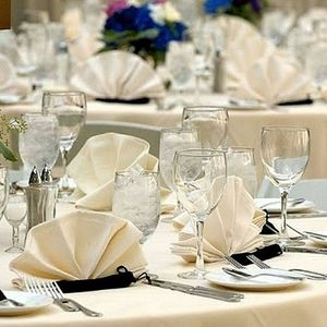 Ivory Dinner napkins